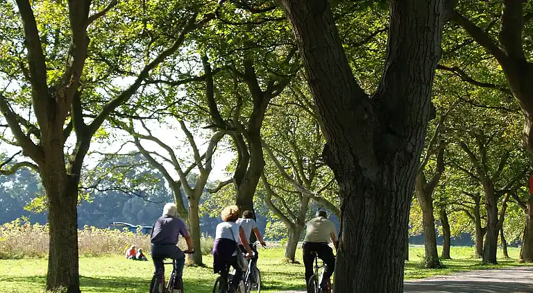 Semesterbostad i Beesd