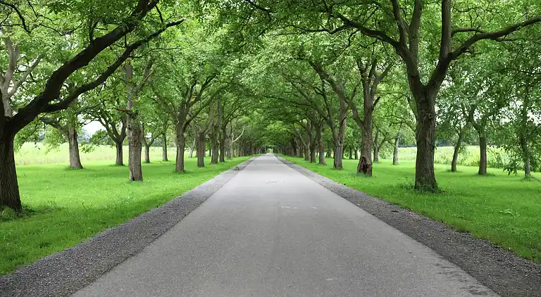 Semesterbostad i Beesd