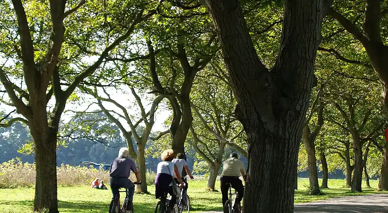 Semesterbostad i Beesd
