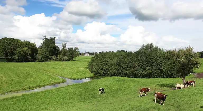 Gårdhus i Oosterwijk