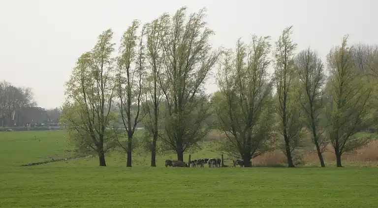 Gårdhus i Oosterwijk