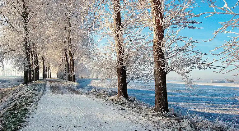 Holiday home in Bruinisse