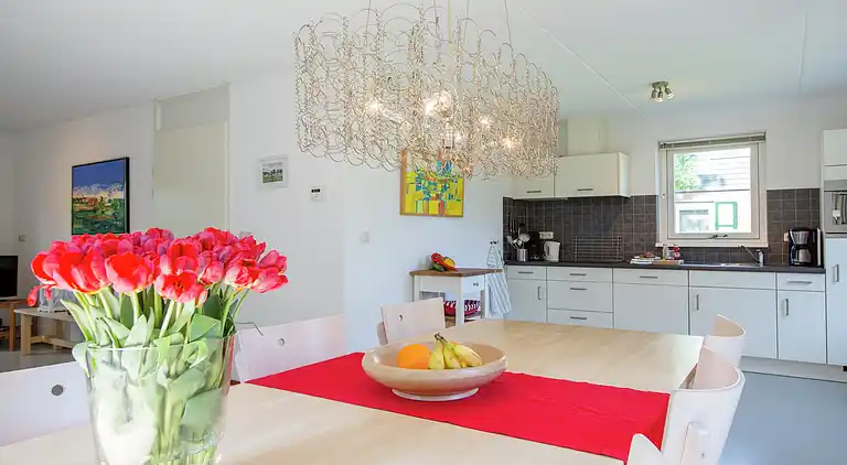 Semesterbostad i Zonnemaire