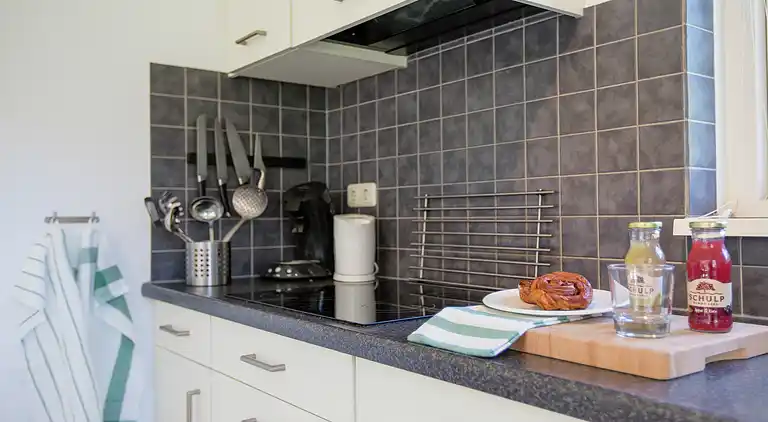 Semesterbostad i Zonnemaire