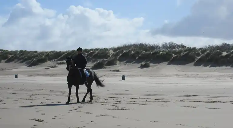 Semesterbostad i Zonnemaire