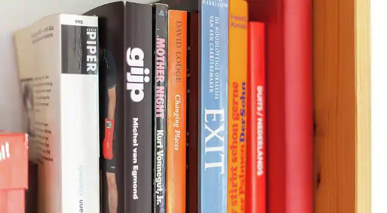 Semesterbostad i Brouwershaven