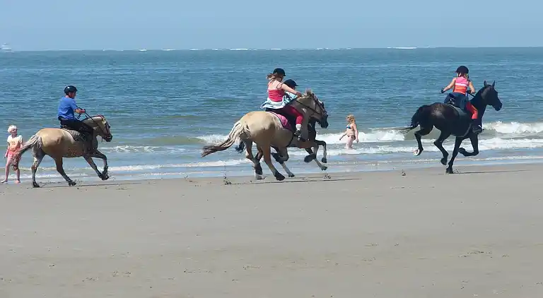 Semesterbostad i Burgh-Haamstede