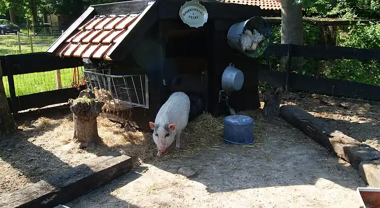 Semesterbostad i Veere