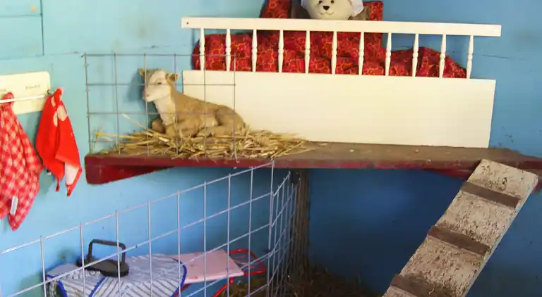 Semesterbostad i Veere