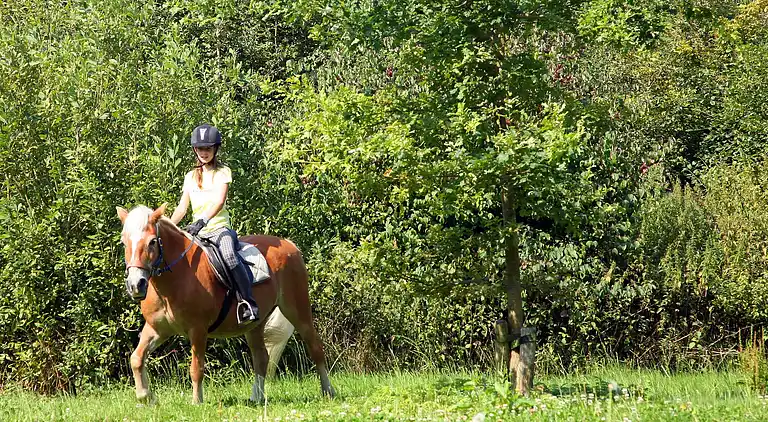 Semesterbostad i Veere