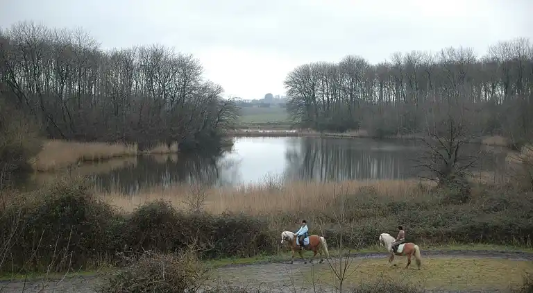 Semesterbostad i Veere