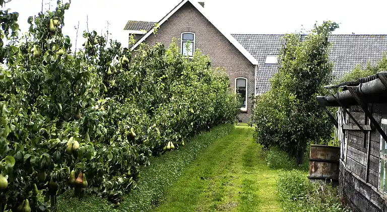 Semesterbostad i Wemeldinge