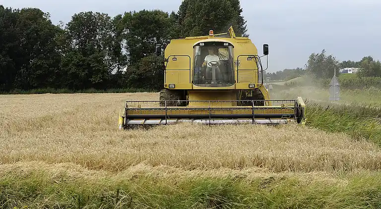 Semesterbostad i Wemeldinge
