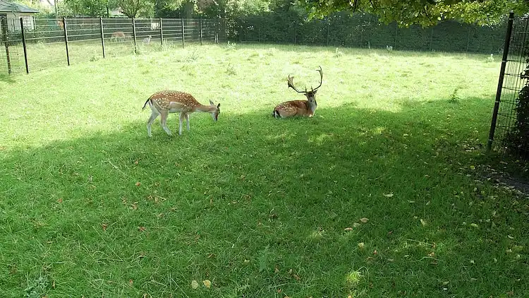 Ferienhaus in Wemeldinge
