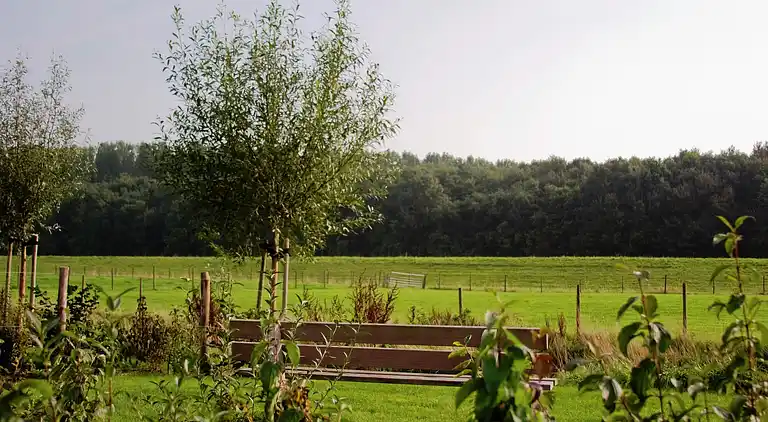 Semesterbostad i Wemeldinge