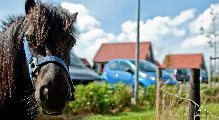 Sommerhus i Wemeldinge