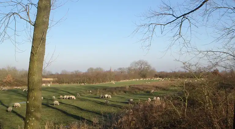 Farmhaus in Oudelande
