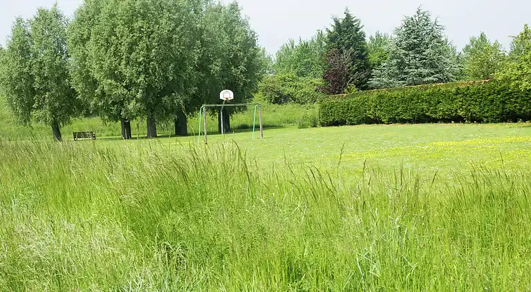 Holiday home in Wolphaartsdijk