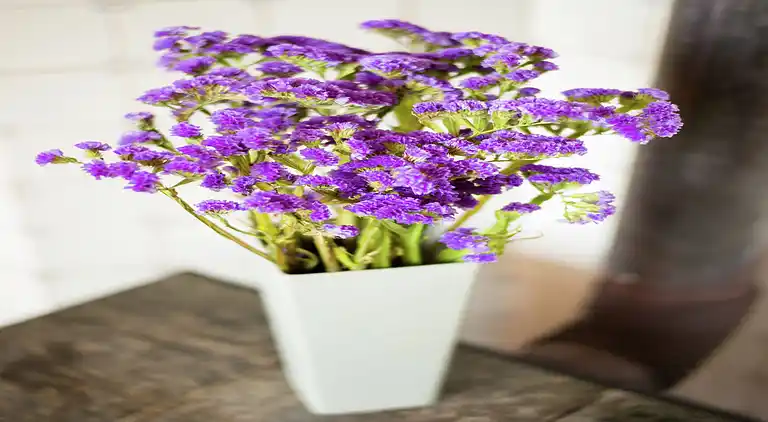 Ferienhaus in Kattendijke