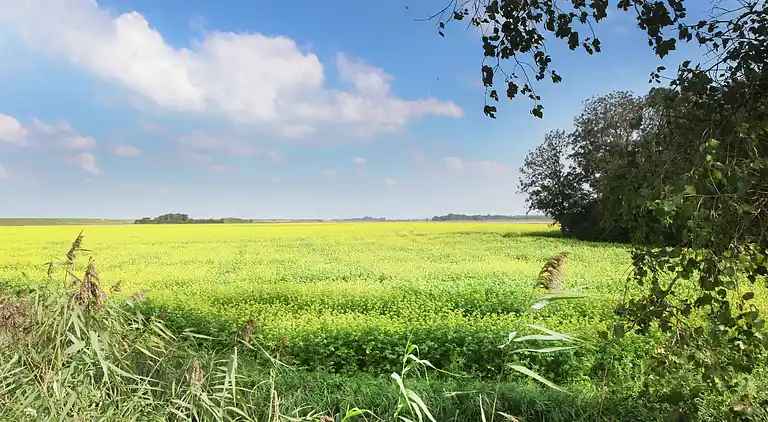 Holiday home in Kortgene