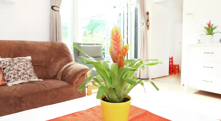 Holiday home in Kortgene