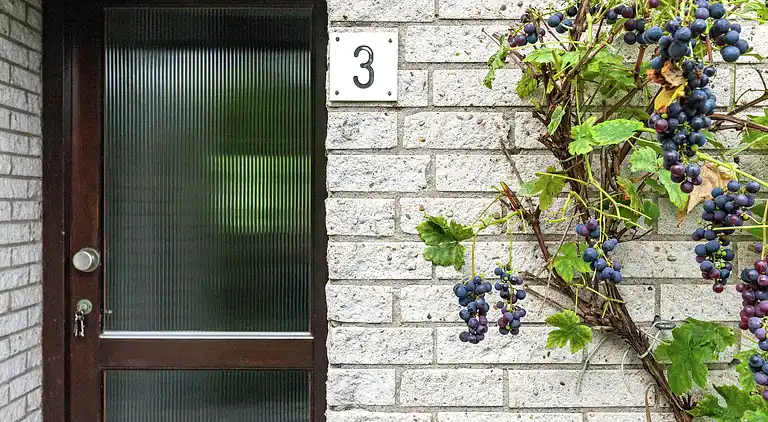 Ferienhaus in Kamperland