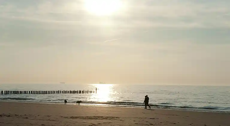 Villa in Cadzand-Bad