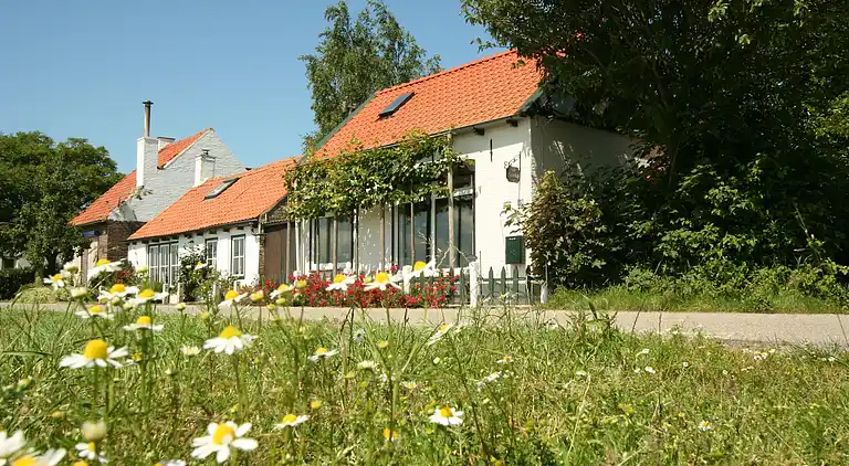 Ferienhaus in Schoondijke