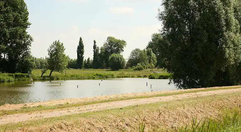 Ferienhaus in Schoondijke