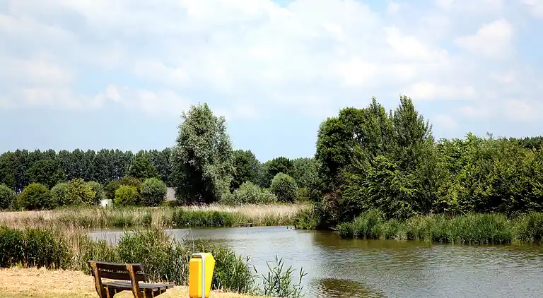 Ferienhaus in Schoondijke