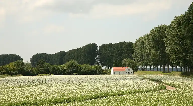 Ferienhaus in Schoondijke