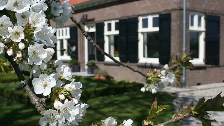 Bondgård i IJzendijke