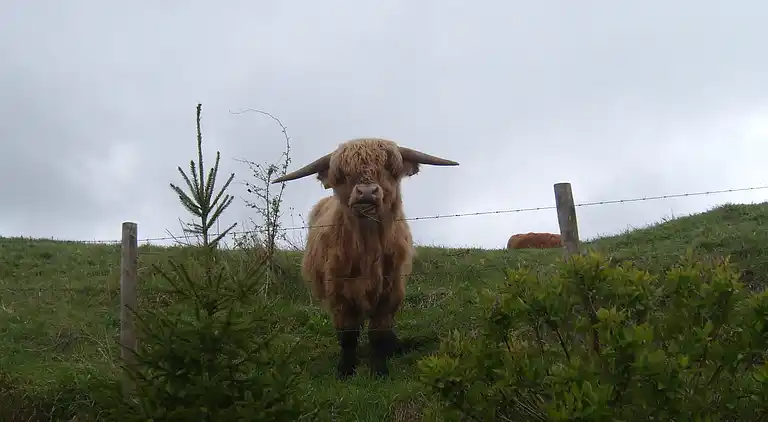 Semesterbostad i Retranchement