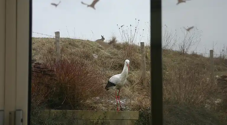 Semesterbostad i Retranchement