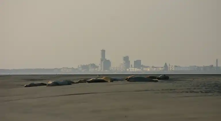 Semesterbostad i Retranchement