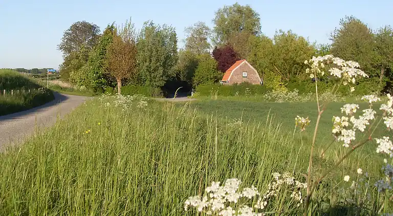 Holiday home in Sas van Gent