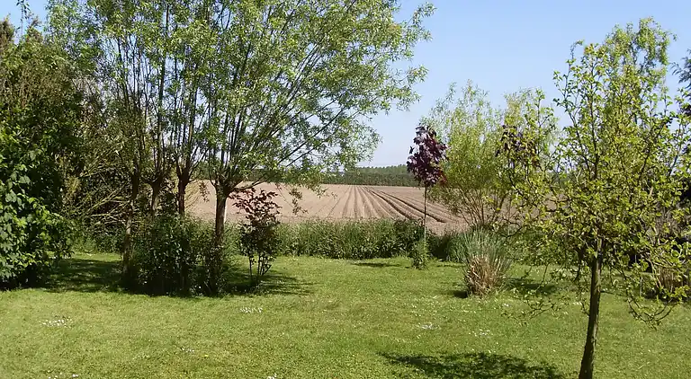 Holiday home in Sas van Gent