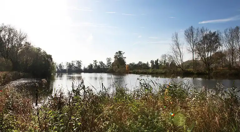 Holiday home in Sas van Gent