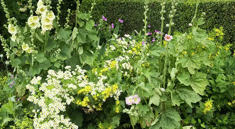 Holiday home in Sas van Gent