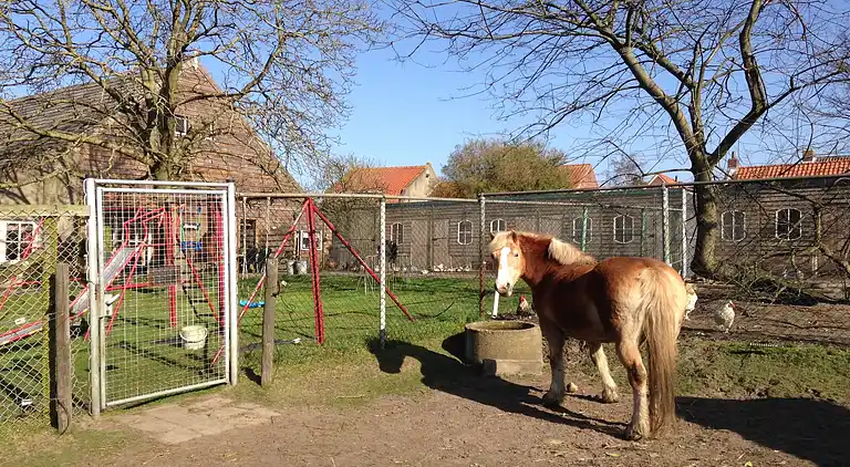 Semesterbostad i Bergen op Zoom