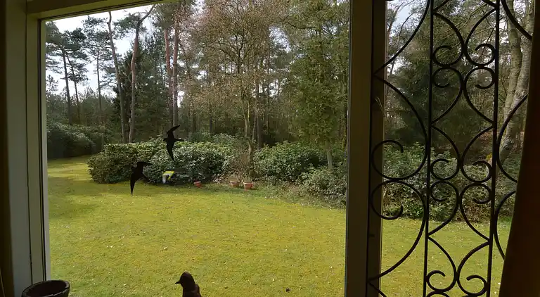 Holiday home in Huijbergen