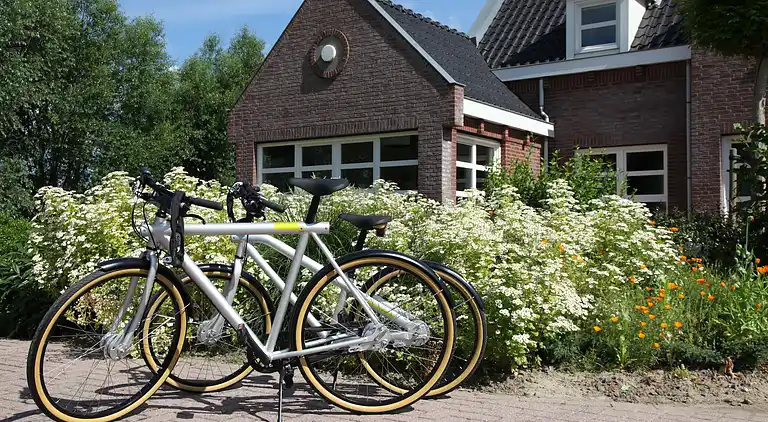 Ferienhaus in Steenbergen