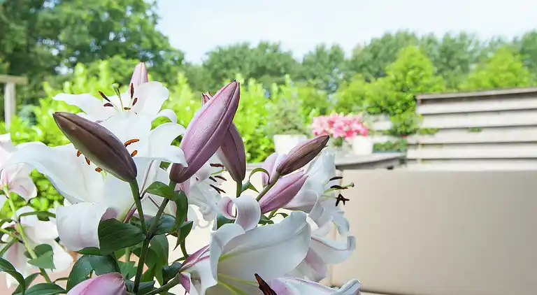 Holiday home in Schagerbrug