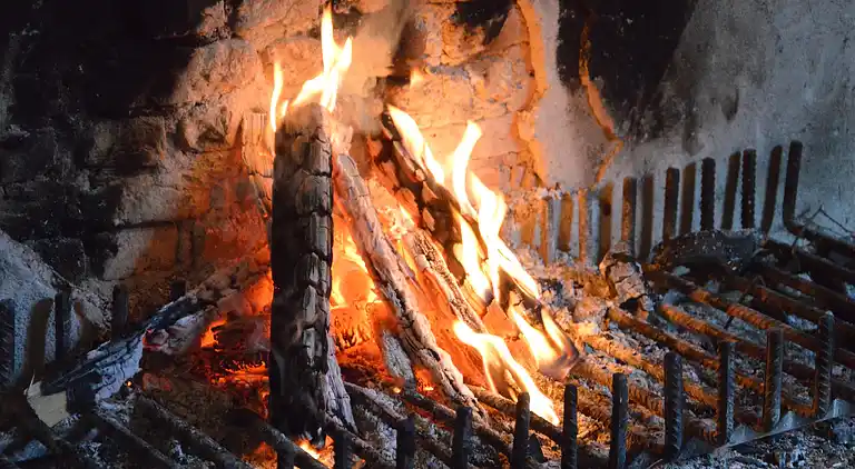 Vakantiehuis in Verspreide huizen Ulvenhout
