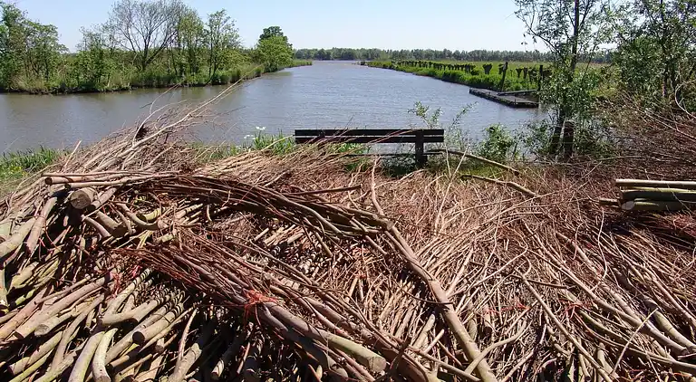 Bondgård i Drimmelen