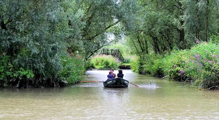 Bondgård i Drimmelen