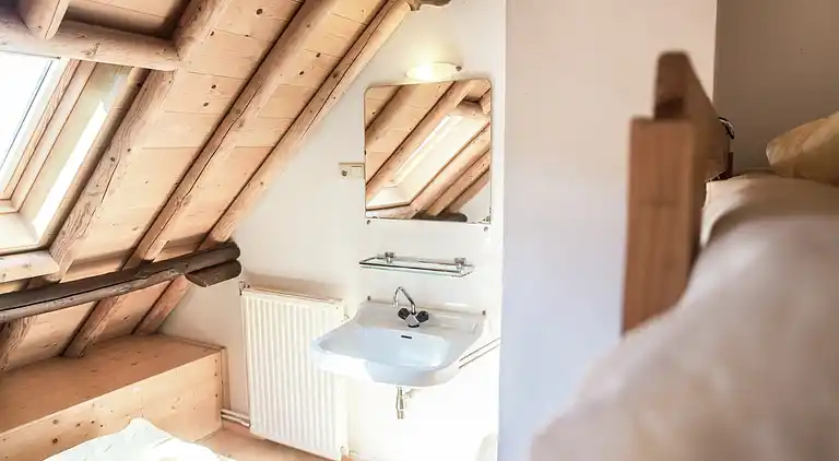 Bondgård i Drimmelen