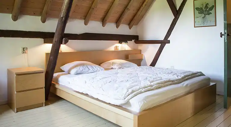 Bondgård i Drimmelen