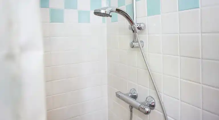 Bondgård i Drimmelen