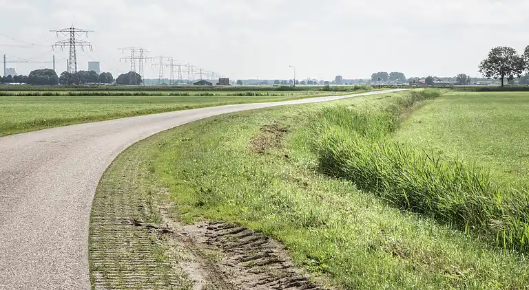 Bondgård i Drimmelen